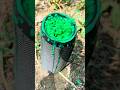 JBL speaker, green colour jump test