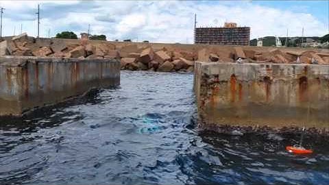 Planning Feasible and Safe Paths Online for Autonomous Underwater Vehicles in Unknown Environments