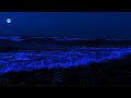 99% Relief Stress and Instantly Fall Asleep - High Quality Stereo To Ocean Sounds Of Rolling Waves