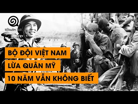 Video: Thuộc tính nổi bật được ẩn trong mê cung của thế giới