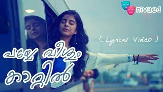 payye veeshum kaattil lyrics video aanandam