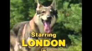 Littlest Hobo Maybe Tomorrow theme song chords