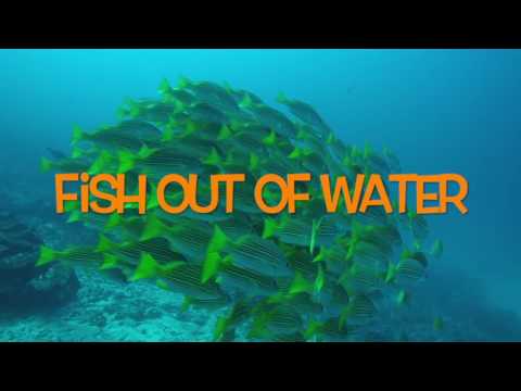 SAY WHAT?!? Capítulo 35: "Fish out of Water"