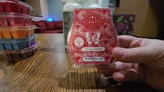 Scentsy Haul Featuring BRV Scentspiration Collection & LTO Cleaning Bundle! #scentsy