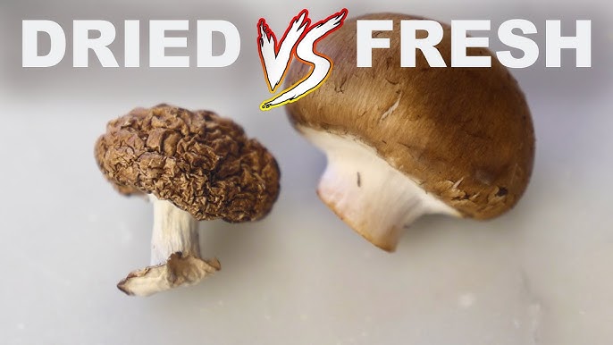 Dehydrated Mushrooms on the Nesco Snackmaster Pro - Life's A Tomato