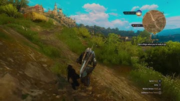 The Witcher 3 Wild Hunt messing around
