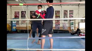 2021020205 toellgym.com