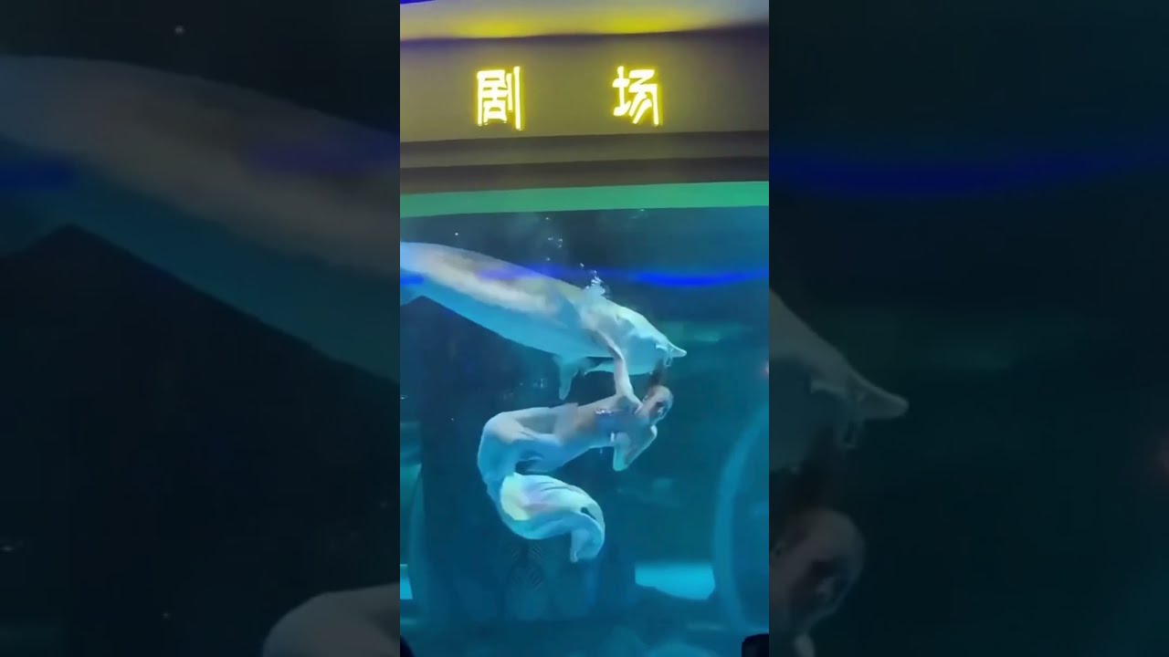 Fish Bites Mermaid Performer On The Head