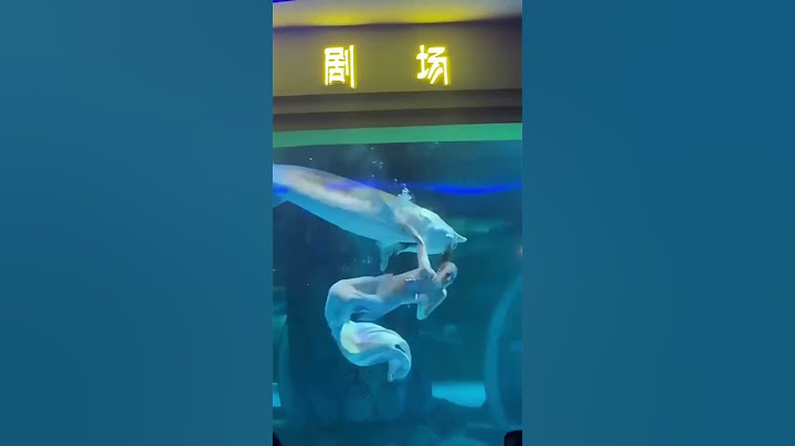 Fish bites mermaid performer on the head