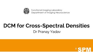Dynamic Causal Modelling for Cross Spectral Densities| Dr Pranay Yadav | SPM for EEG and MEG