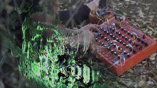 A Pastoral Moment with Pulsar-23