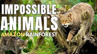 Impossible Animals: Rainforest | Amazon jungle | Animal Planet in Hindi | National Geographic Hindi