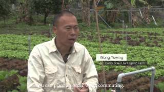 New Trend Of Organic Farming In Hong Kong