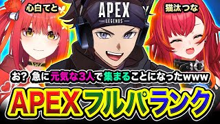 ハセシン / HASESHINの配信のサムネイル画像