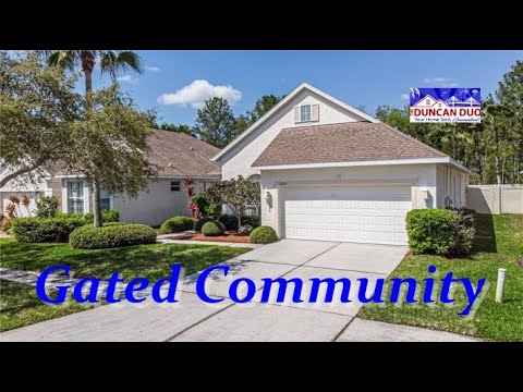 11233 BLACKSMITH DRIVE, Tampa, FL home video tour