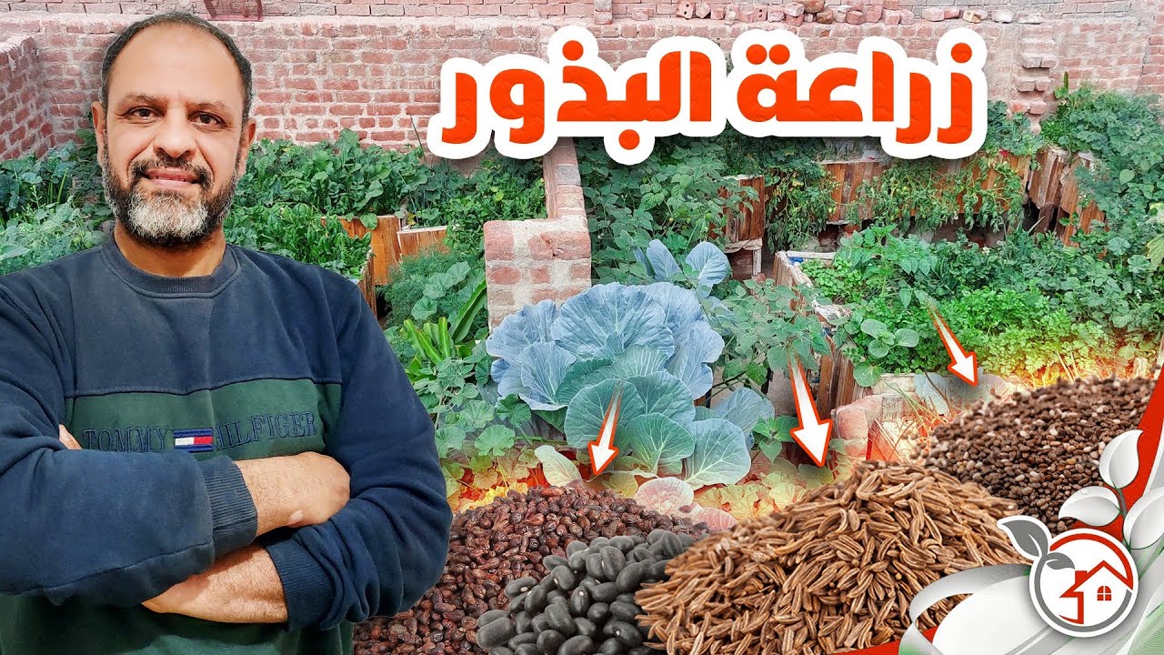 أسهل طريقة لزراعة مختلف أنواع البذور بدون تعقيد أو مبالغة