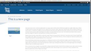 Site Hierarchy | Parent, child and grandchild pages