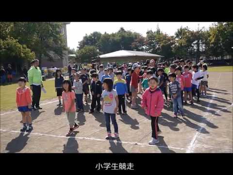 第40回北堀区民大運動会③借り物競争･小学生競争･玉入れ