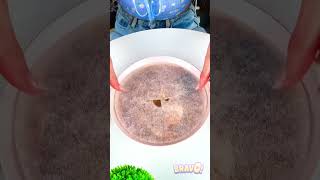 Thumbnail for How to Remove Spice from Ramen 🌶️ | Boost your Shorts with ”POLAR, LA LA LIFE - KI-KI-KISS” 🚀🔥
