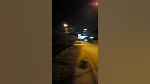 Финик канарский- Красавец!!! Но как его укрывать в зимние морозы, такой огромный???