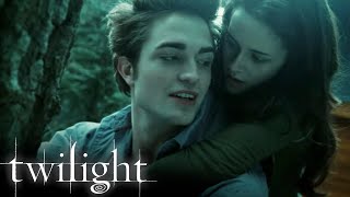 'Hold on Tight, Spider Monkey' | Twilight