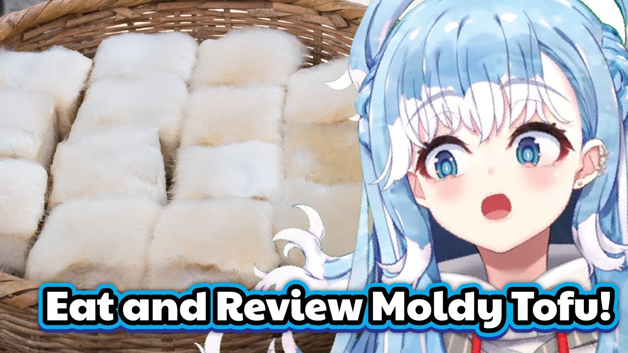 Kobo make FERMENTED MOLDY TOFU then Review it on stream