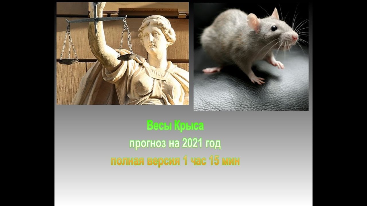 Гороскоп Весы Крыса На Апрель