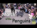 March of the Penguins