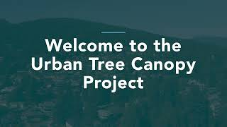 Welcome to the Urban Tree Canopy project