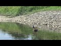 こち亀 自作ラジコン 和船 走行テスト