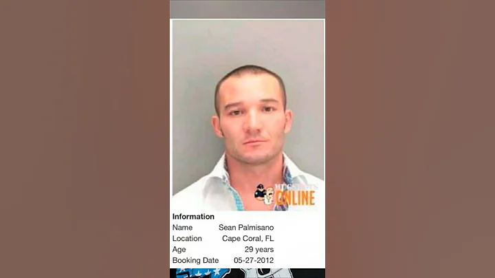 🚨 BREAKING - Update on the Shawn Ryan arrest investigation!