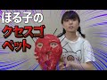 若きクセスゴ芸人高田ぽる子「ペットを連れてきただけです。」