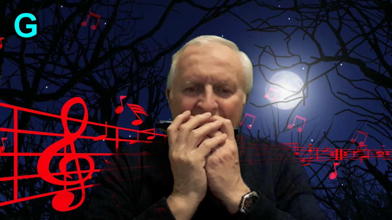 DIRTY OLD TOWN HARMONICA LYRICS YouTube