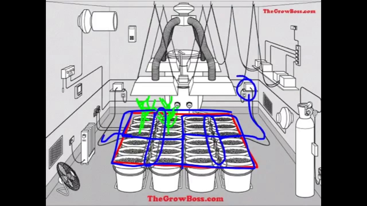 Marijuana Garden Science  Plant Size and the Hydroponic System by The Grow Boss