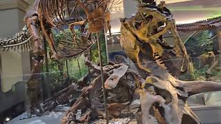 Walking With Dinosaurs! 🦖 Smithsonian Natural History Museum