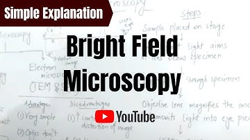Bright Field Microscopy