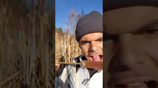 Guy takes a huge bite out of a cattail plant! Resimi