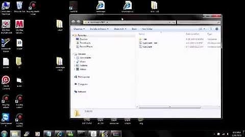 sinzscape w1 client download