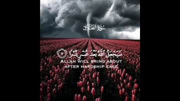 سيجعل الله بعد عسر يسرا | سورة الطلاق | القارئ أحمد النفيس