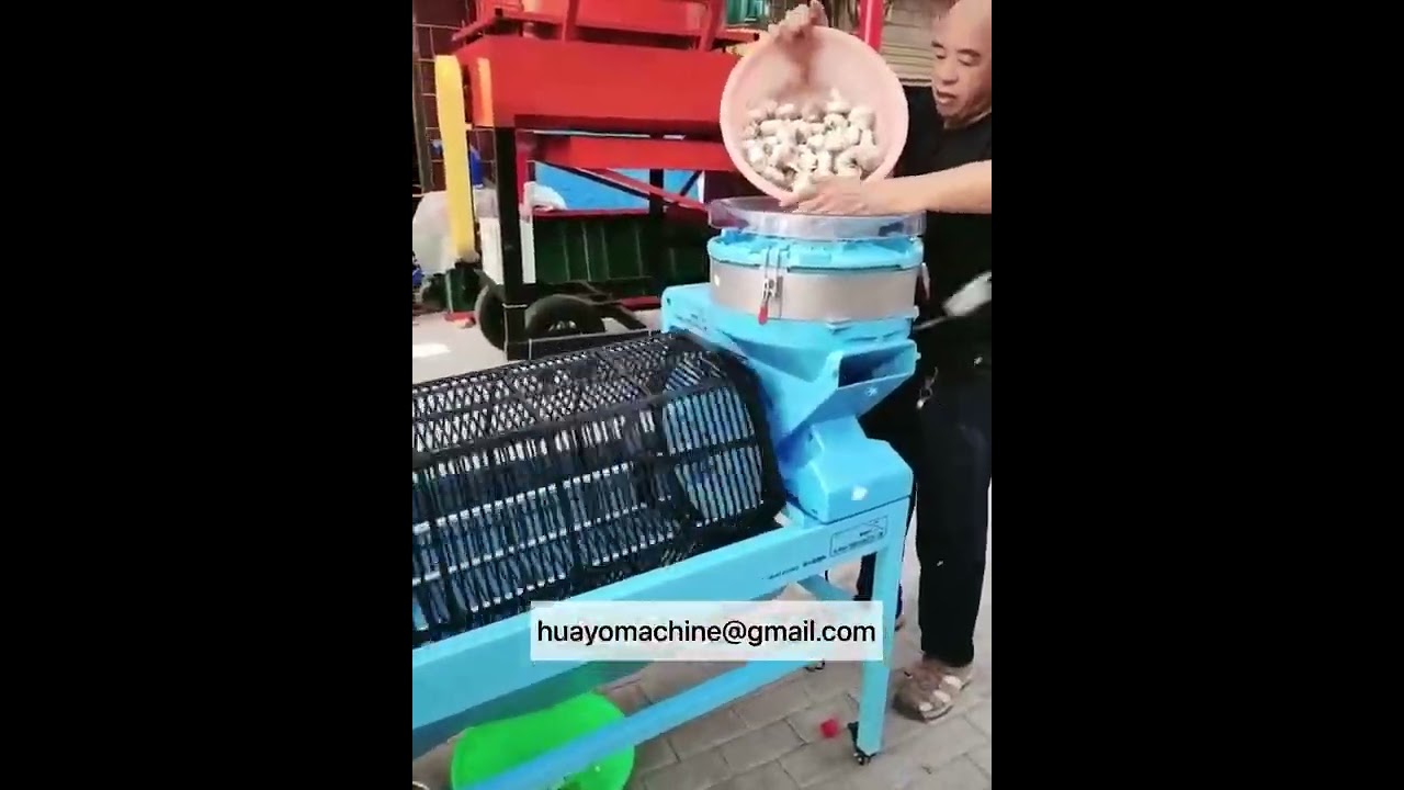 How to break Garlic bulb to cloves efficiently and not damage your finger for Australia