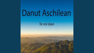 Video thumbnail of "Danut Aschilean - Acel ce va birui"