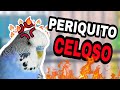 EL PROBLEMA DE LOS PERIQUITOS CELOSOS