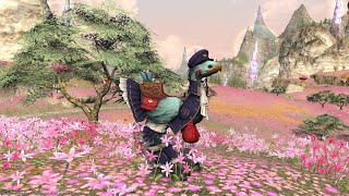 Final fantasy XIV - Postmoogle Barding from Valentione's 2022 Final fantasy XIV - Postmoogle Barding from Valentione's 2022