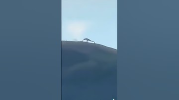 Slender Giant Filmed Doing Push-Ups on Mountain!