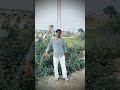 shiyalo aay guyo ne juwanya#reels#trendingreels#reelsinstagram #techreels#artificialintelligence#ai