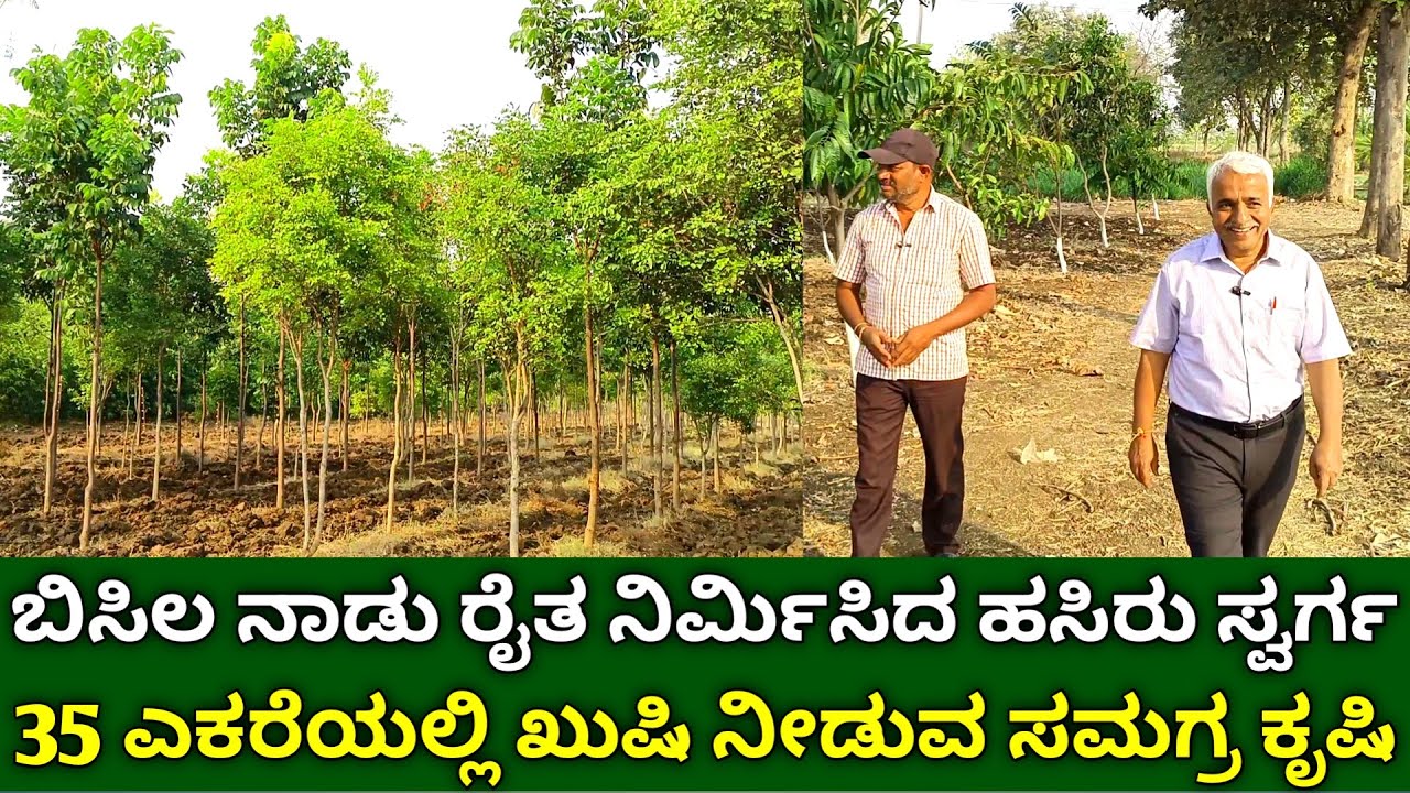 ಬಿಸಿಲ ನಾಡು ರೈತ ನಿರ್ಮಿಸಿದ 35 ಎಕರೆ ಹಸಿರು ಸ್ವರ್ಗ | agroforestry farming | integrated farming kannada