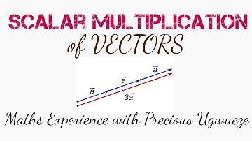 Vectors: Scalar Multiplication of Vectors