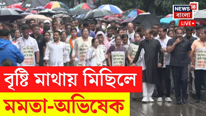 Mamata Banerjee LIVE | বৃষ্টি মাথায় মিছিলে মমতা-অভিষেক, দেখুন সরাসরি | Bangla News