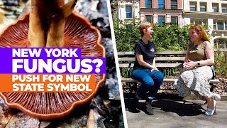 New York Has a State Animal — and a State Plant. This Mushroom Group Wants In | NBC New York