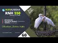 RNHâ 550 January 19 2020 Soora Qalbii RNHâ 550 January 19 2020 Soora Qalbii